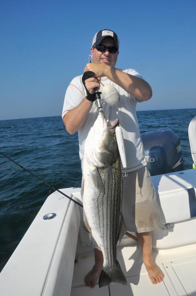 WaveJammer (2 Sizes)